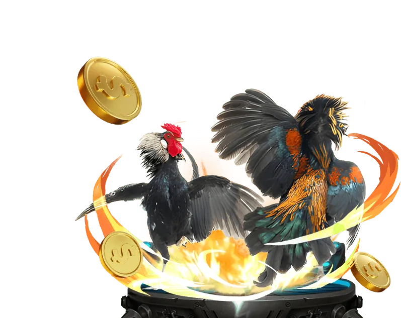 Giải thích về đá gà trực tuyến tại bet88