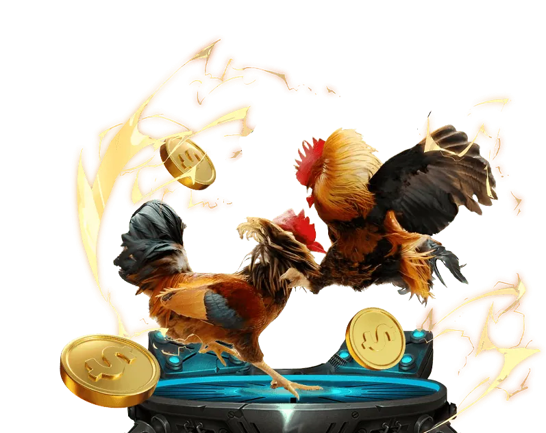 Trải nghiệm cá cược cao cấp